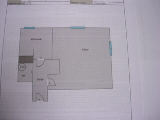  Appartement à louer 1 pièce 32 m²