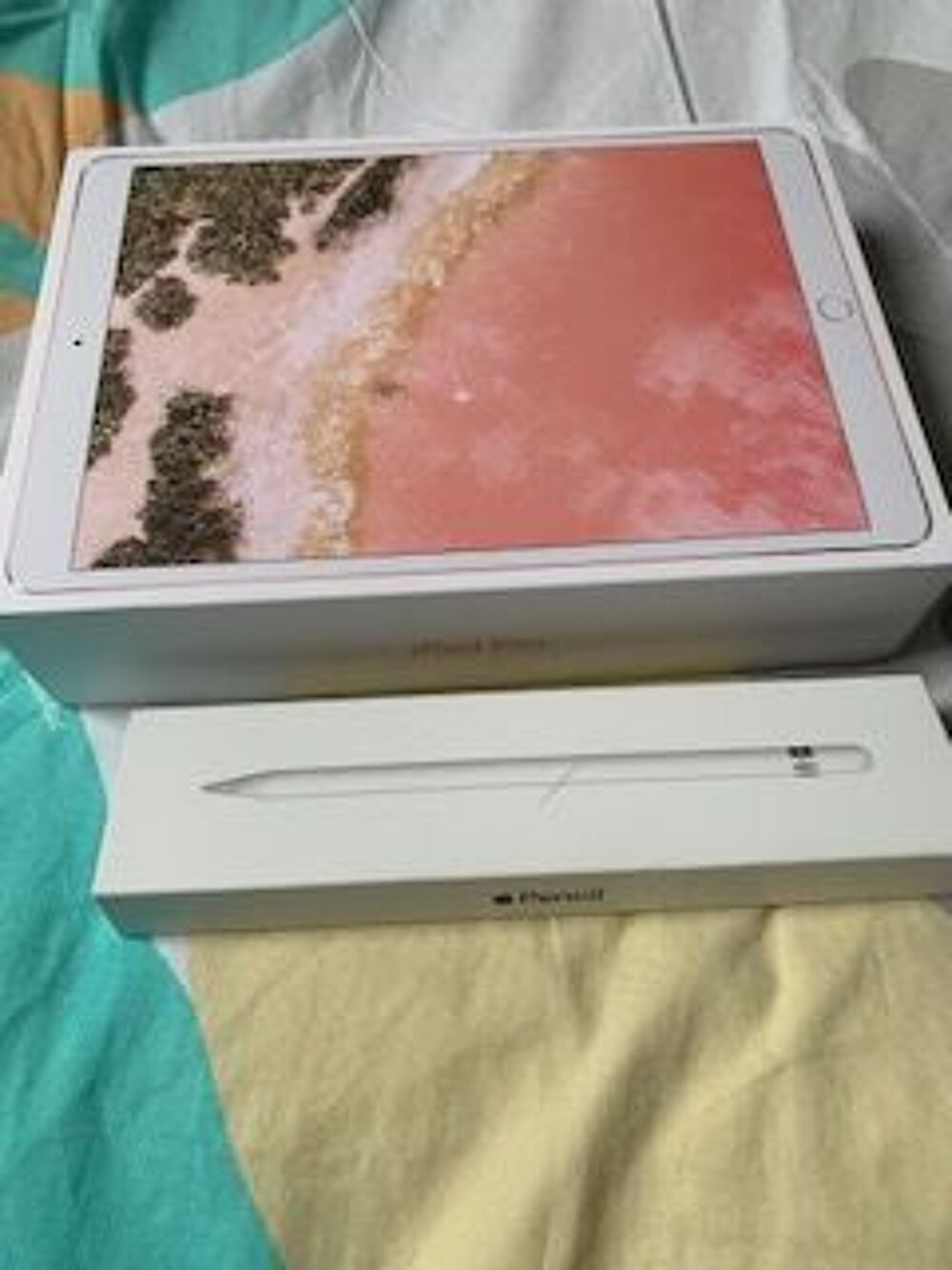 iPad Pro 10,5 FIN 2017 256GO ET Apple Pencil T�l�phones et tablettes