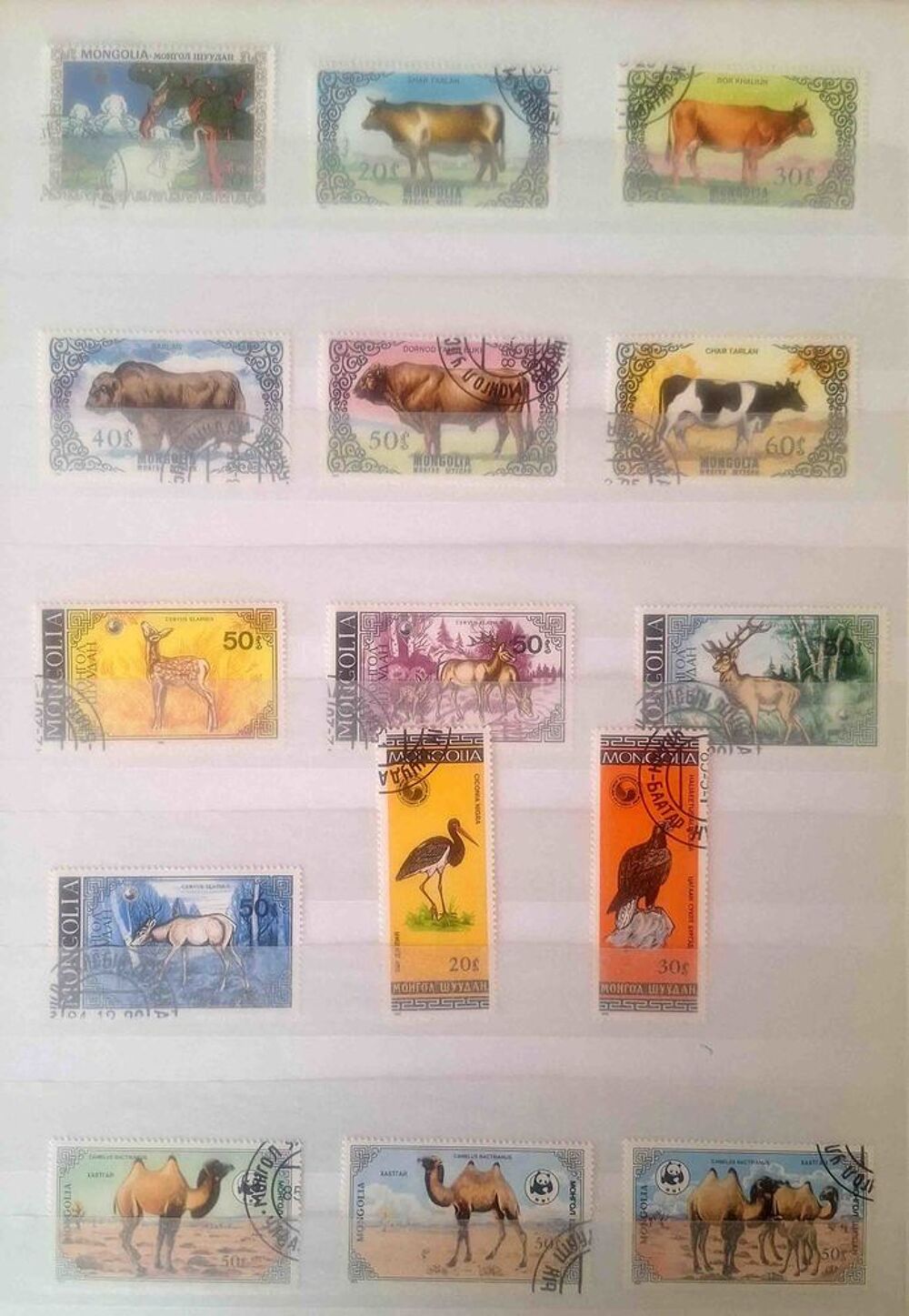 S&eacute;rie de timbres de collection de Mongolie A 