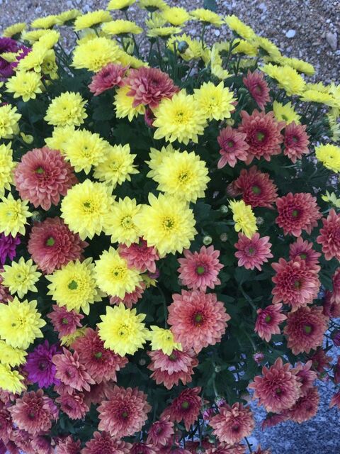  Parking / Garage  louer 12 m