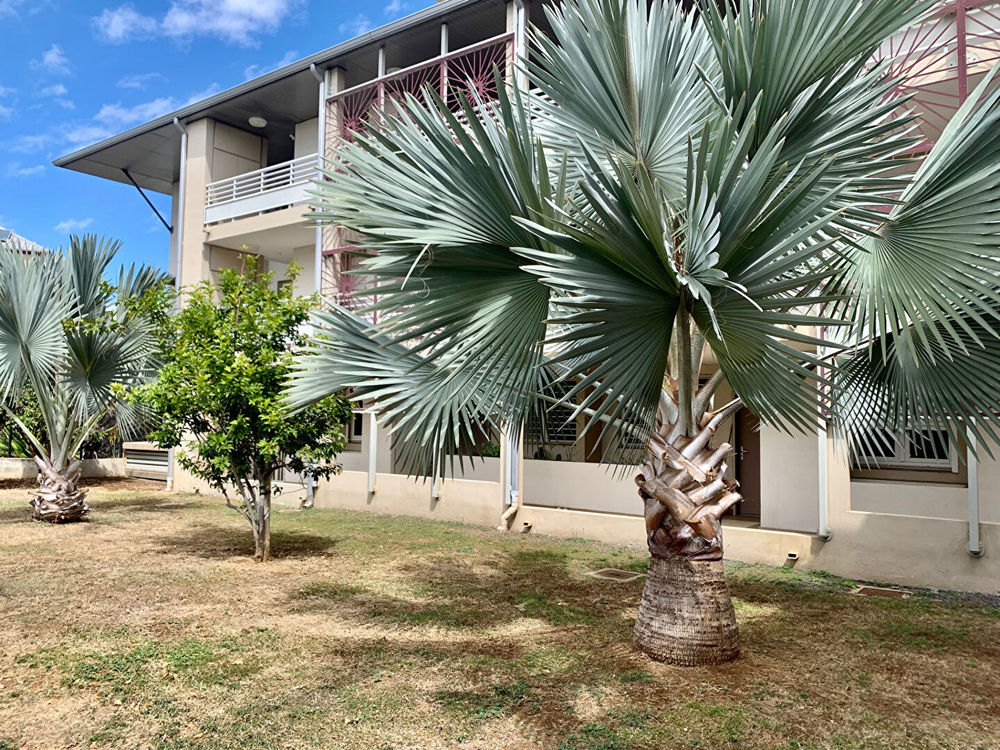   Saint-Gilles les Hauts (97435)