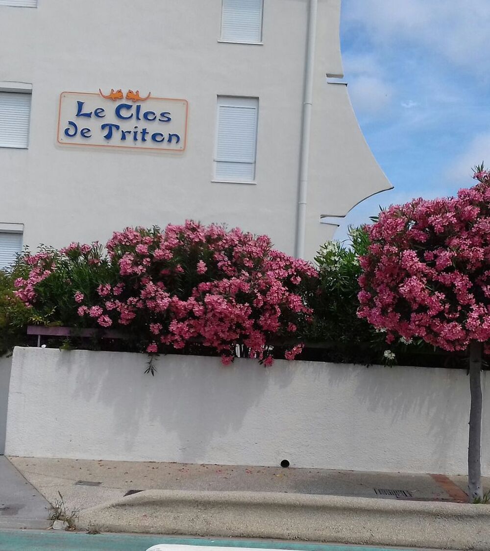   Studio 4 p proche plage Languedoc-Roussillon, Le Grau-du-Roi (30240)
