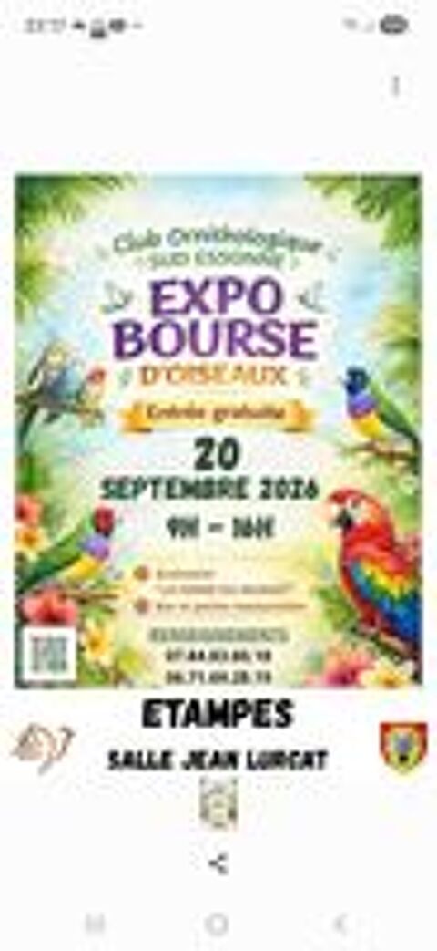   Bourse d'oiseaux Etampes 91  
