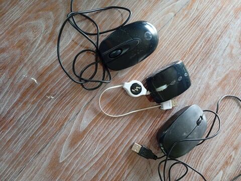 trois Souris ordinateur 3 Reillanne (04)