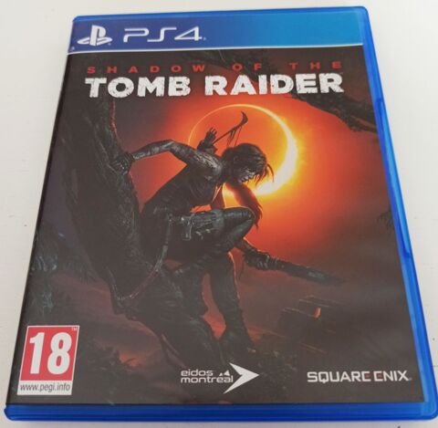 Jeu PS4 Shadow of The Tomb Raider 22 Moingt (42)