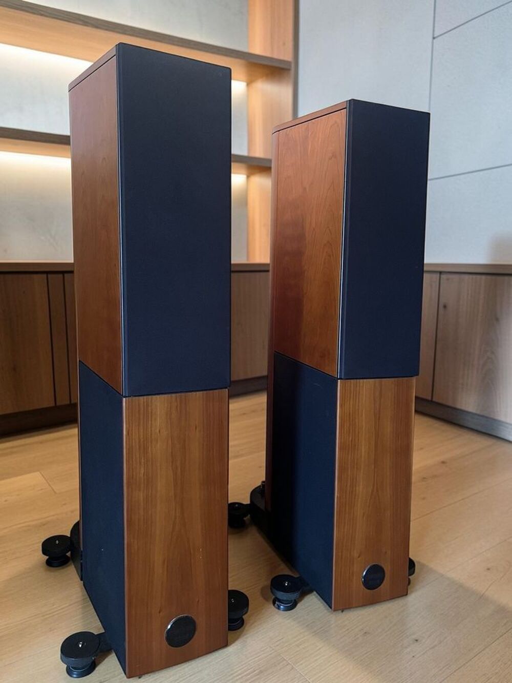 AUDIO PHYSIC CARDEAS S7 Audio et hifi