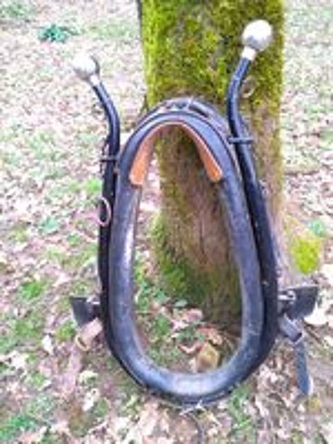  Collier am�ricain pour cheval de trait. 