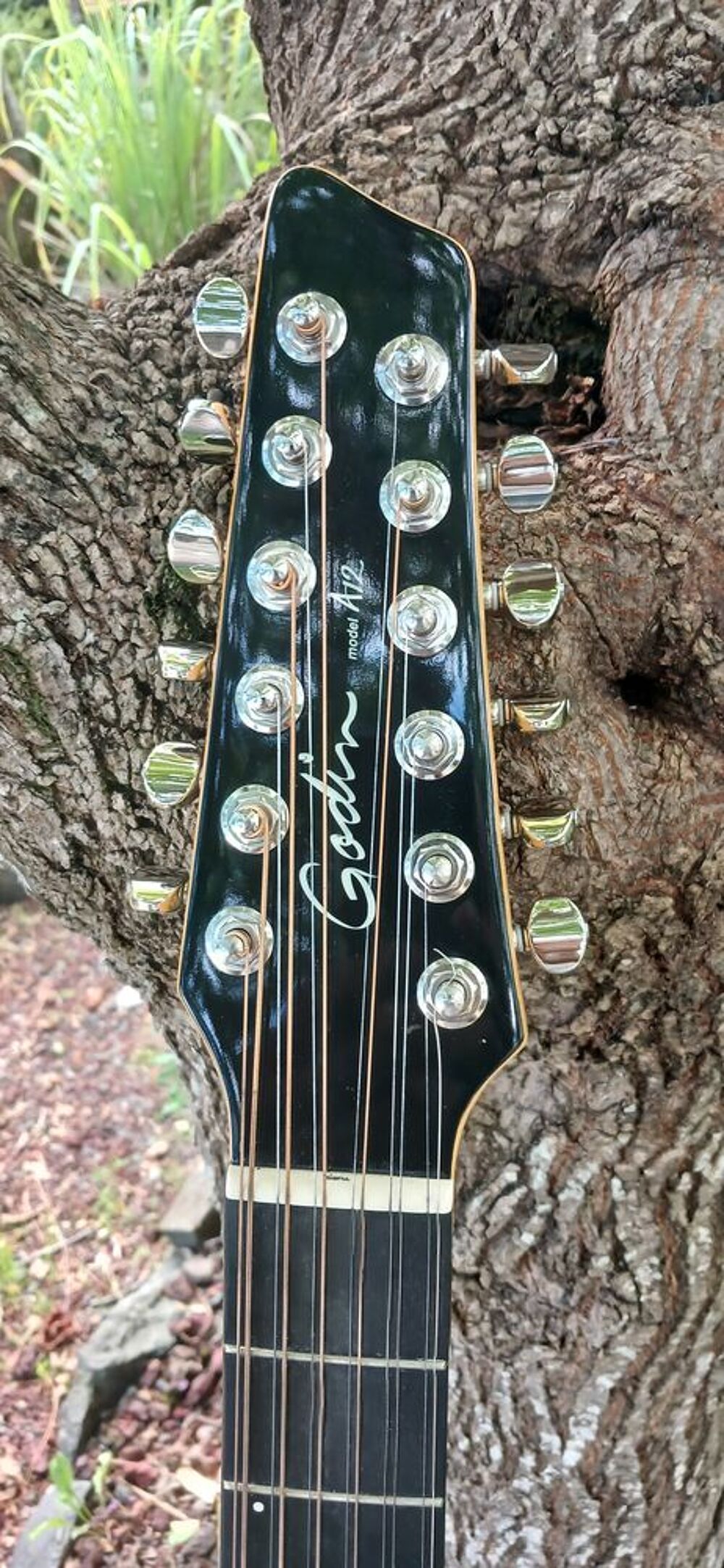 GUITARE ELECTRO ACOUSTIQUE GODIN 12 CORDES PARFAIT ETAT Instruments de musique