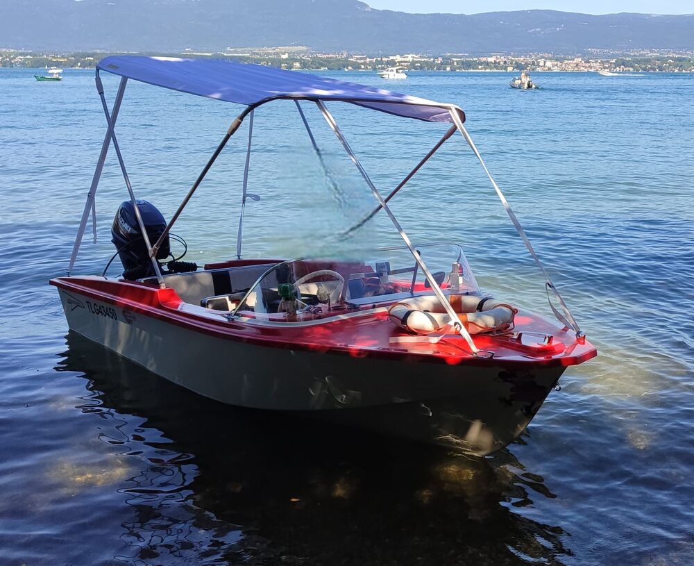 Bateau fluvial 2008 occasion 74000 Annecy
