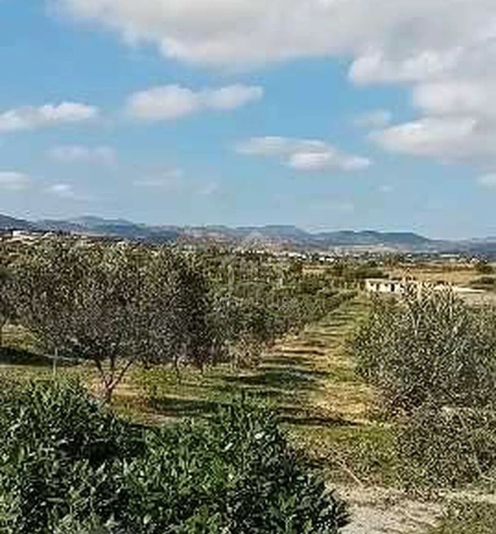 Vente Terrain Terrain de 400 m² avec vue de mer à Hammamet Sud Hammamet sud, tunisia (Tunisie)