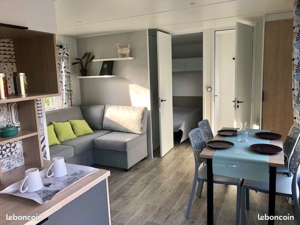  2019 occasion 40170 Saint-Julien-en-Born