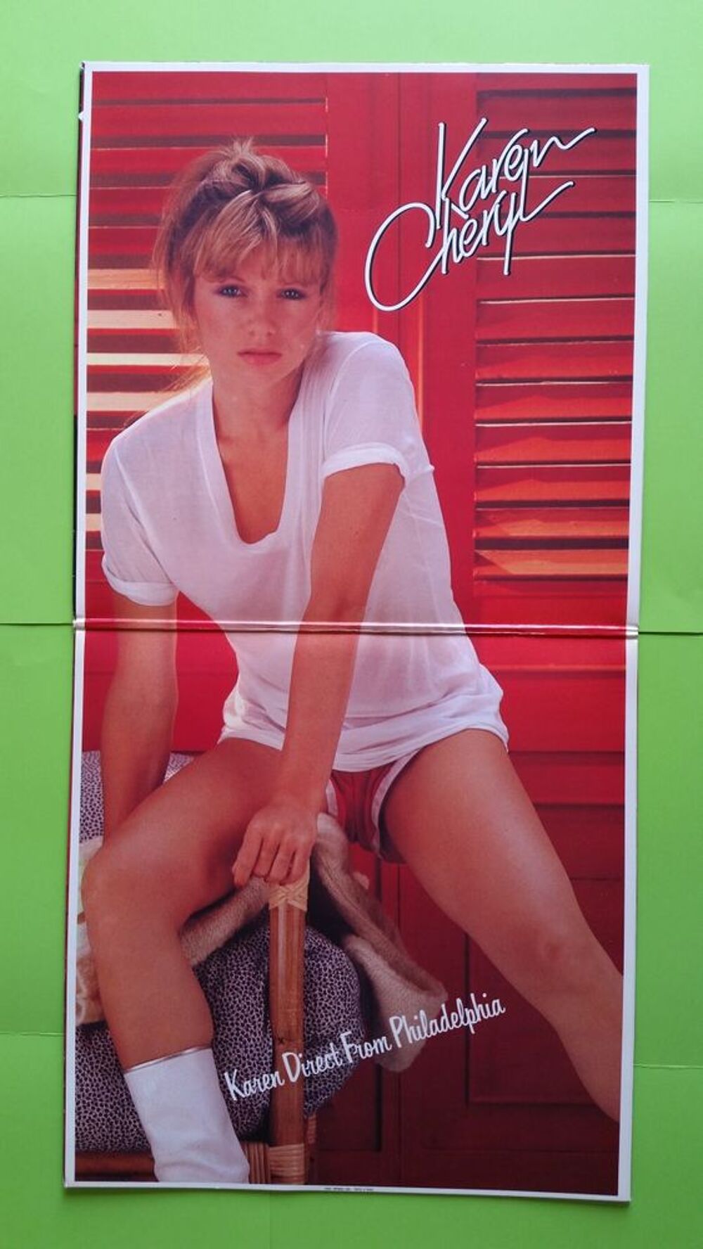 KAREN CHERYL * VINYLE ROUGE CD et vinyles