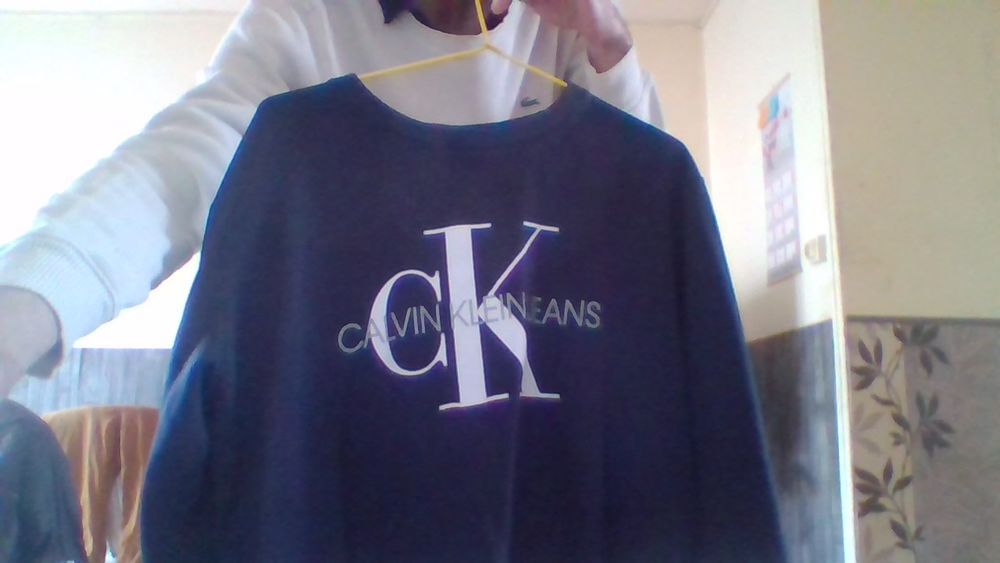 pull calvin klein bleu Vêtements