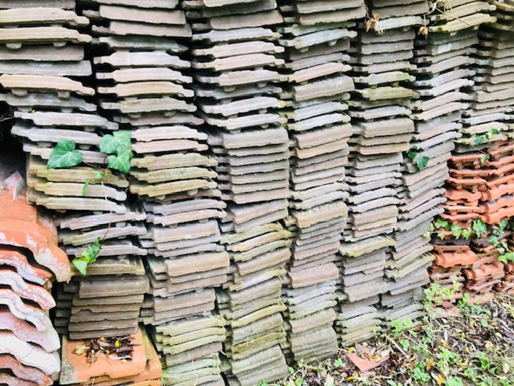  TUILES MECANIQUES
Jardin