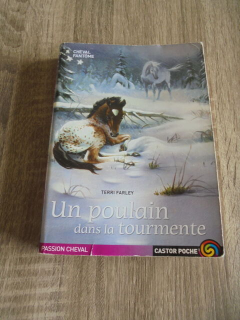 Un poulain dans la tourmente (119) 3 Tours (37)