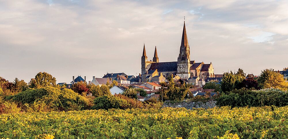Vente Propriété/Château Domaine viticole et maison d'habitation Le puy-notre-dame