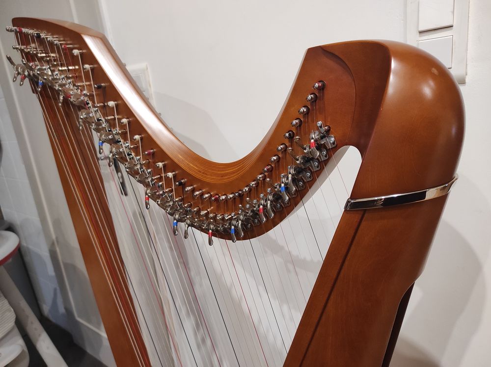 Harpe Isolde CAMAC
Instruments de musique