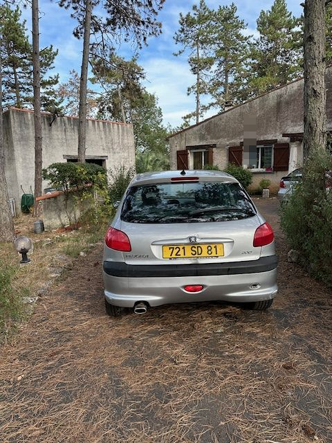 Peugeot 206 2.0e 16V S16