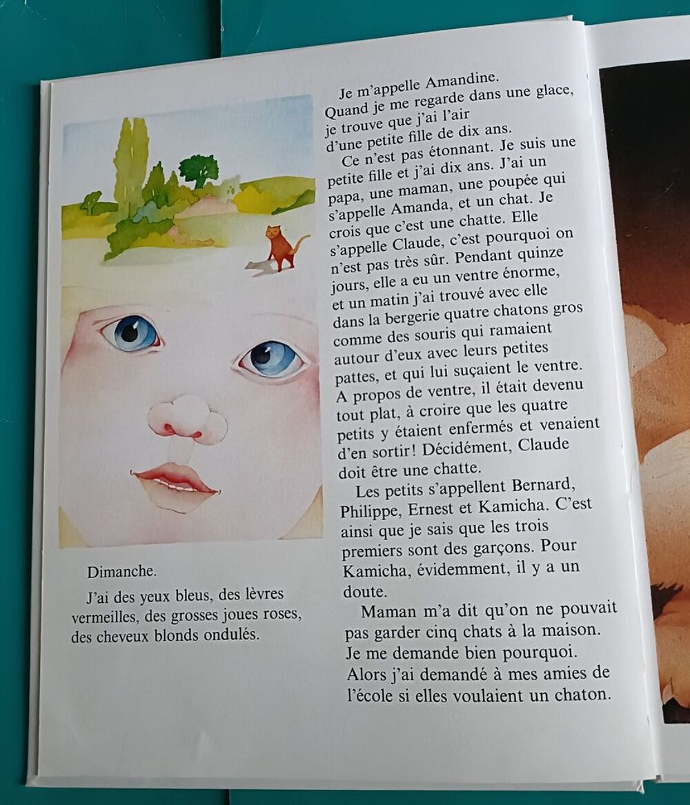 Michel TOURNIER : Amandine ou les deux jardins Livres et BD