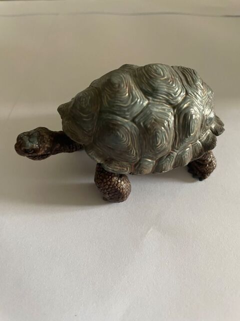 Tortue de terre 60 91150 �tampes