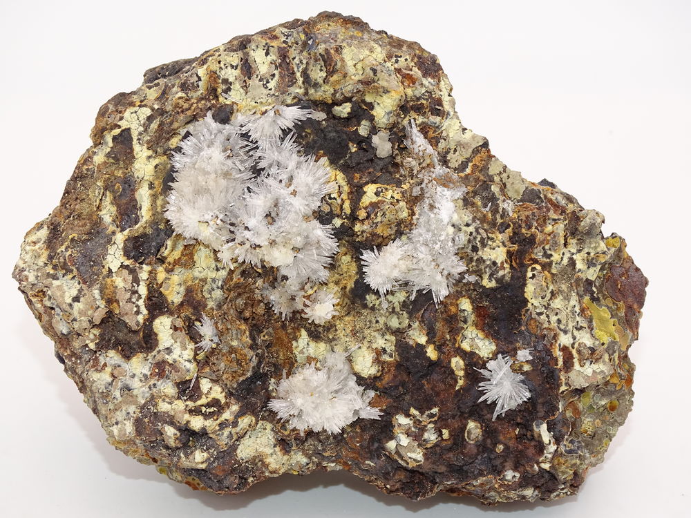 "Oursins" d'Aragonite de Gergovie Puy-de-D&ocirc;me Auvergne Franc 