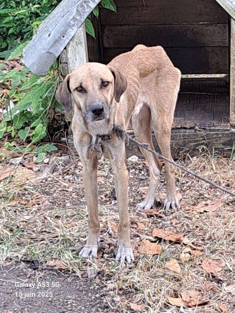 GAREL martyr de la  solitude (, guadeloupe ) 0 75018 Paris