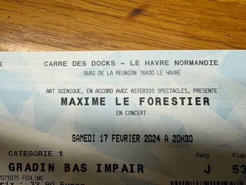 Concert de Maxime le forestier au Havre Samedi 17 fevrier  16 Le Havre (76)