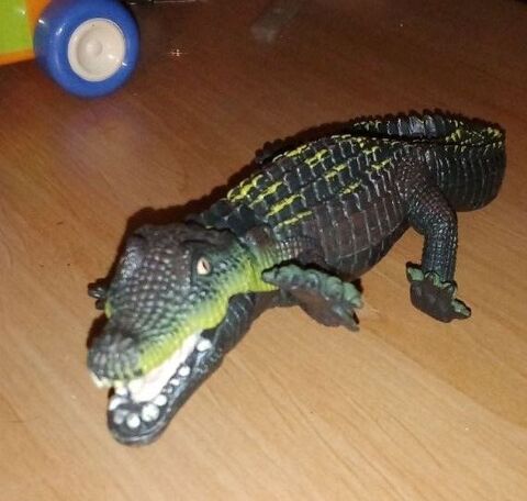 CROCODILE D�CORATION BUREAU Lampertheim (67)