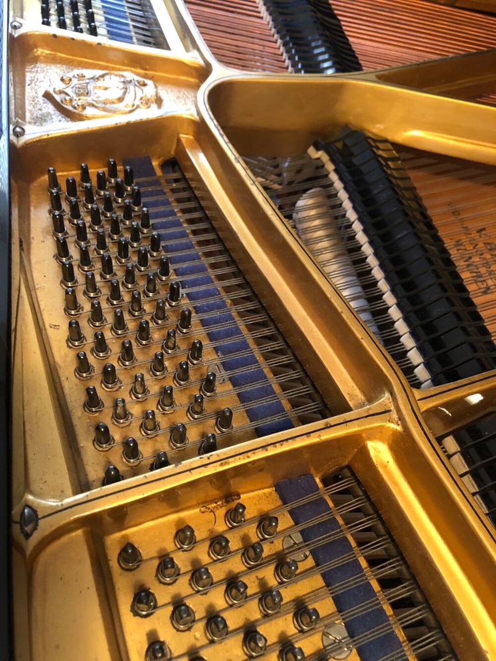 Piano &agrave; demi queue: BERDUX Munich, 175cm, t.b.e Instruments de musique