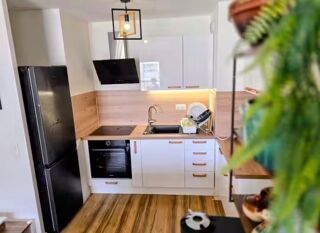 Location Appartement Paris 15e T2 meublé 40m2 Convention Vaugirard Paris 15
