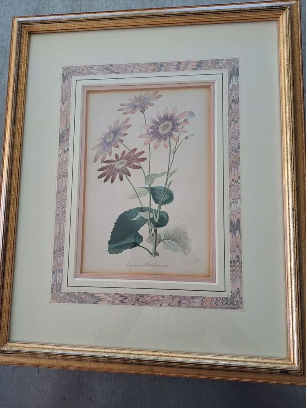 Litho Fleurs Décoration