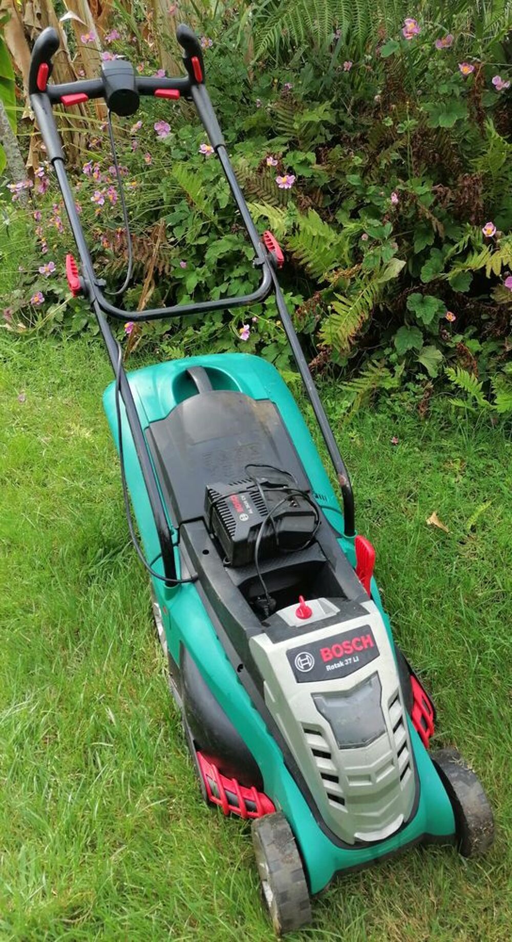 Achetez tondeuse batterie occasion, annonce vente à Salles (33) WB170519942