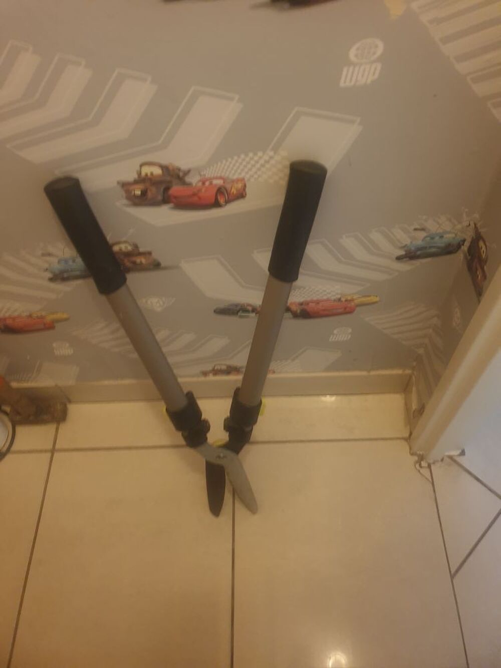 coupe haie ou ciseaux Bricolage