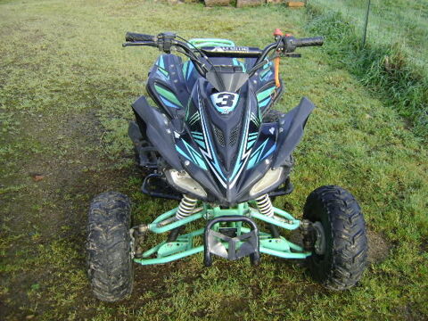 AUTRES Quad 2016 occasion Mareuil-sur-Lay-Dissais 85320