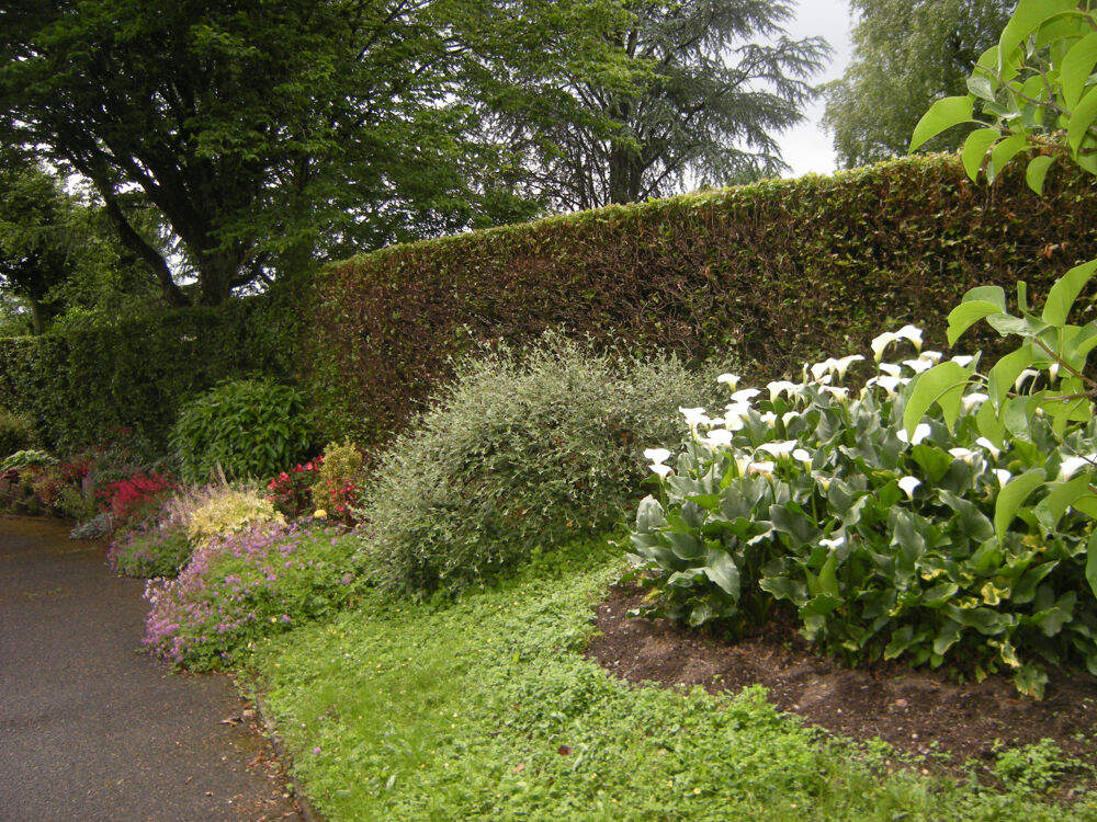 Vente Maison SECTEUR COURCELLES LES MONTBELIARD BELLE VILLA D'ARCHITECTE Courcelles-l�s-montb�liard