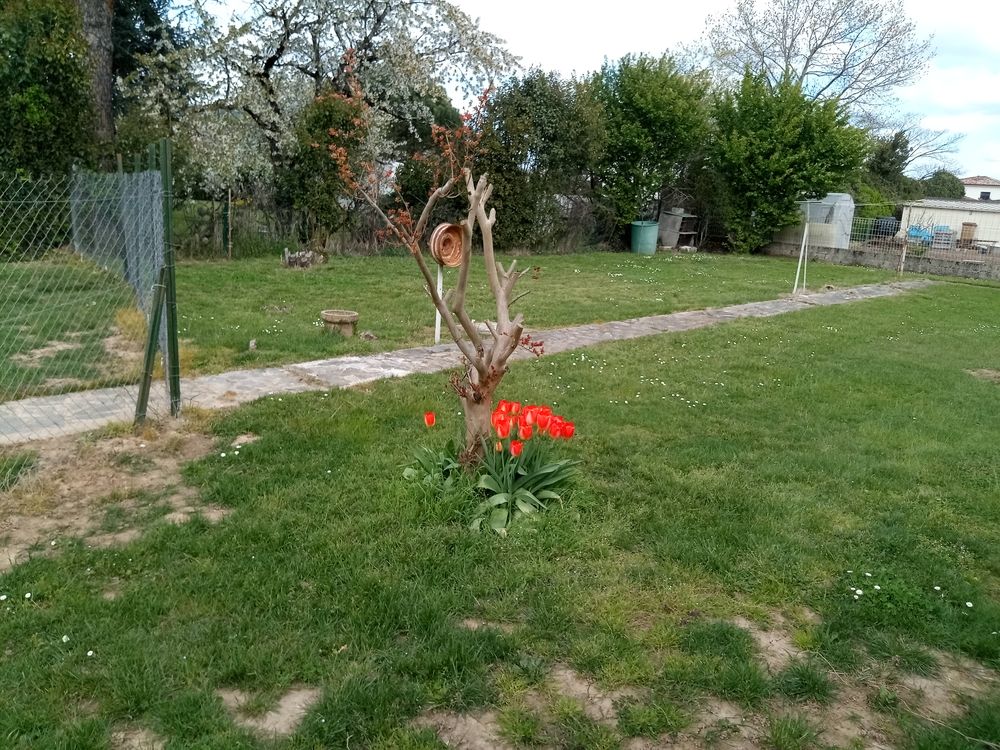 Vente Terrain Terrain Albi broucounies Albi