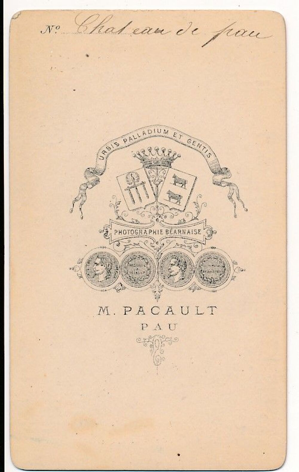 Cdv Ch&acirc;teau de Pau Photographie M. Picault ca1870 
