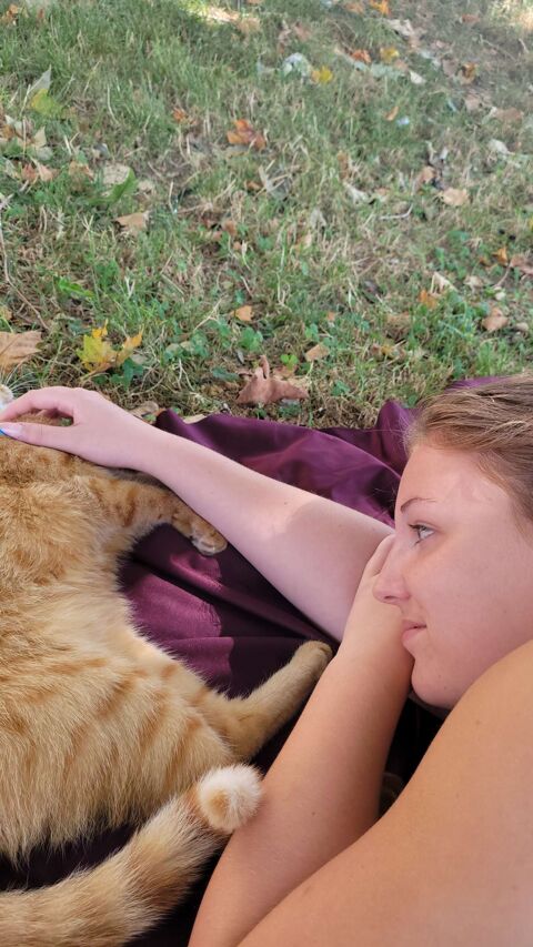 Garde de chat - Dispo jour et nuit 0 63300 Thiers