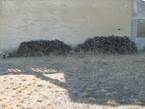 bois de chauffage 100 Visan (84)