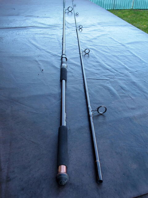 Cannes carpe ROD HUTCHINSON 250 Jargeau (45)