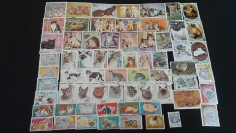 Timbres sur les chats Angers (49)