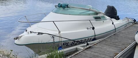 Bateaux &agrave; moteur P&ecirc;che-promenade 1994 occasion Charny 89120