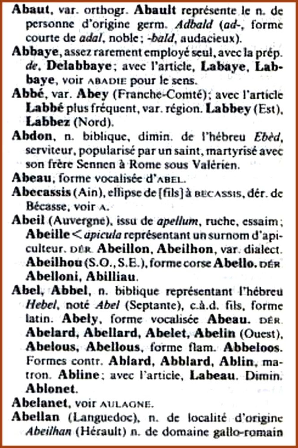 DICTIONNAIRE &Eacute;TYMOLOGIQUE DES NOMS DE FAMILLE Livres et BD