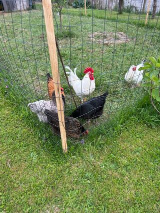  Terrain � vendre 1075 m�