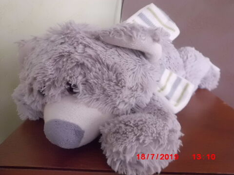 OURS GRIS ET BLANC CP 16 Oignies (62)