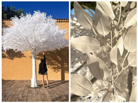 FICUS BLANC ARTIFICIEL 4,50 M ? D�STOCKAGE Saint-Maximin-la-Sainte-Baume (83)