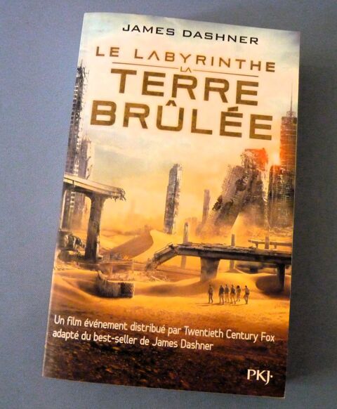 Livre le labyrinthe La terre brûlée best seller James Dashne Brienne-le-Château (10)