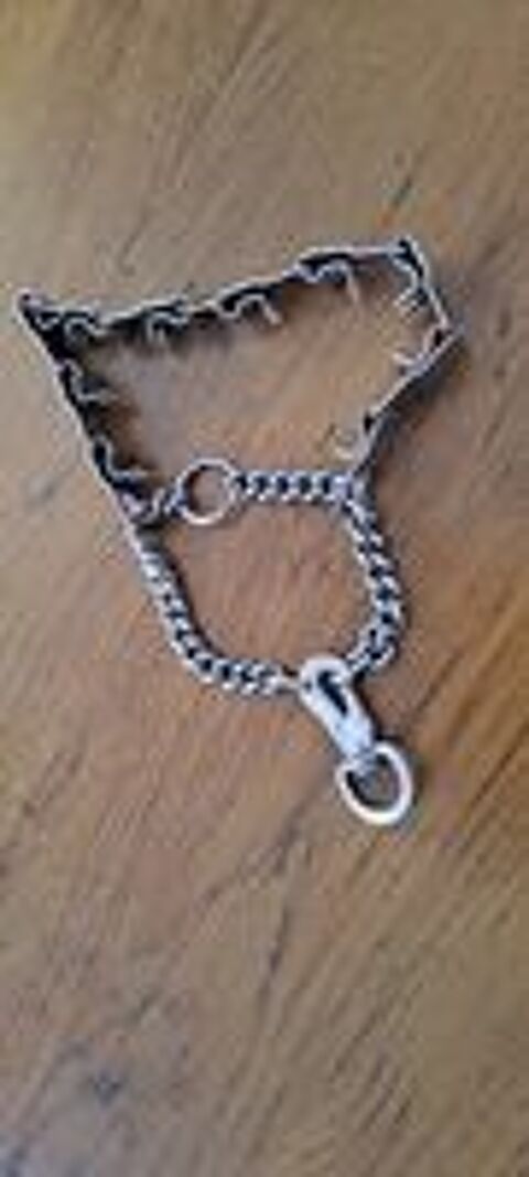   Collier de dressage chien en inox   