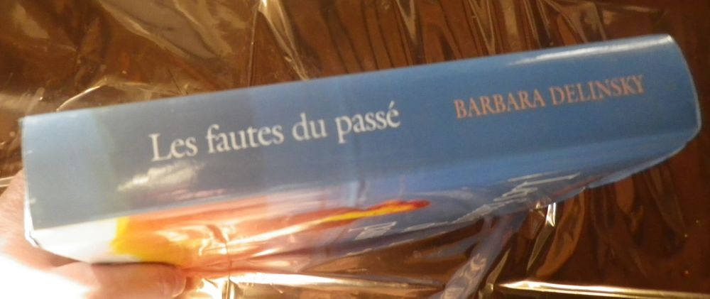 LES FAUTES DU PASSE de Barbara DELINSKY Ed. France Loisirs Livres et BD