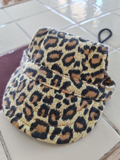 Casquette leopard petit chien type york ou chihuahua. 13 Montluçon (03)